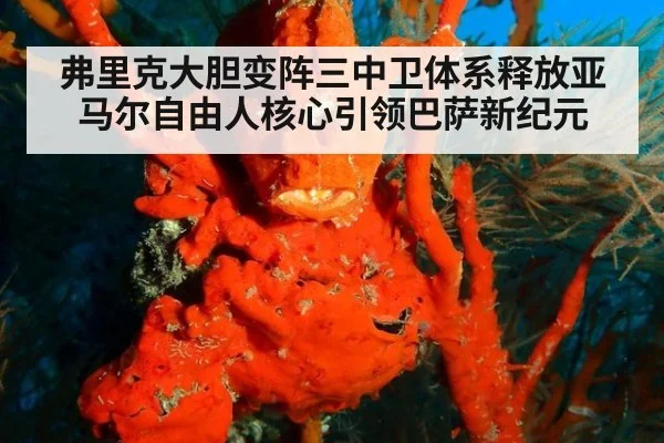 弗里克大胆变阵三中卫体系释放亚马尔自由人核心引领巴萨新纪元